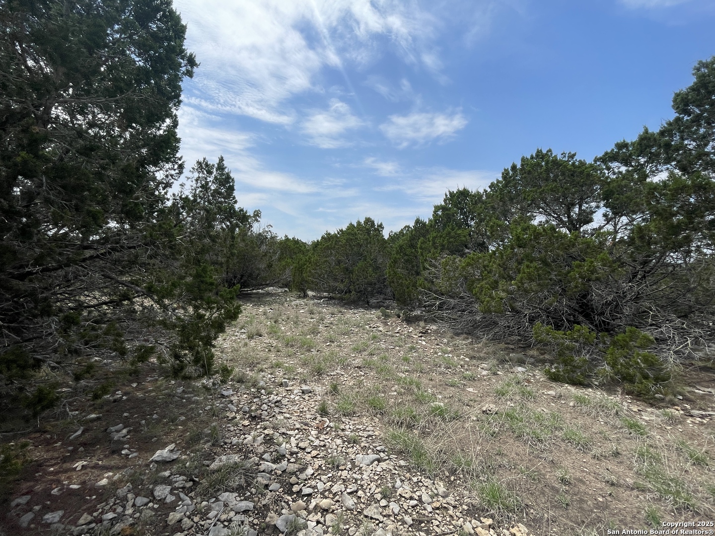350 SD 23110, Rocksprings, TX 78880