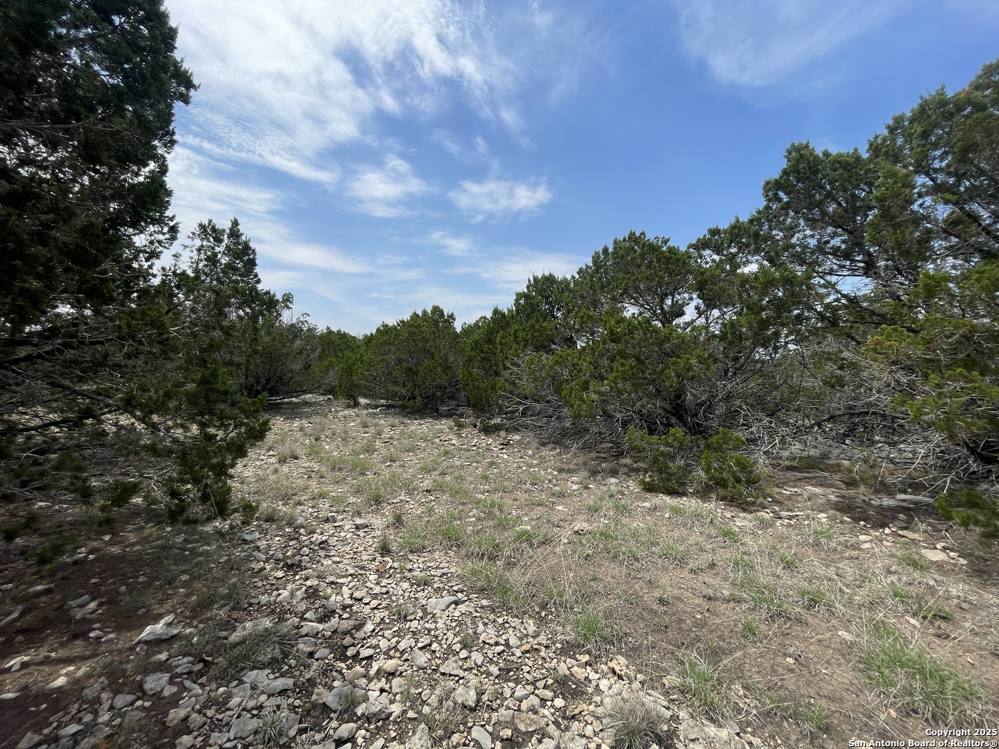 350 SD 23110, Rocksprings, TX 78880