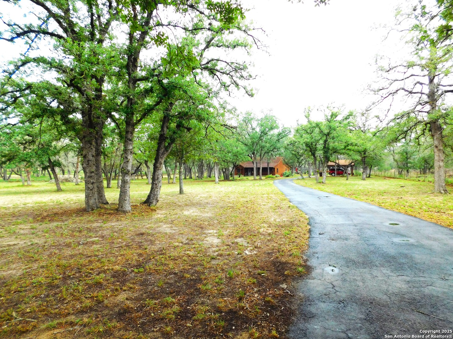 Driveway to home