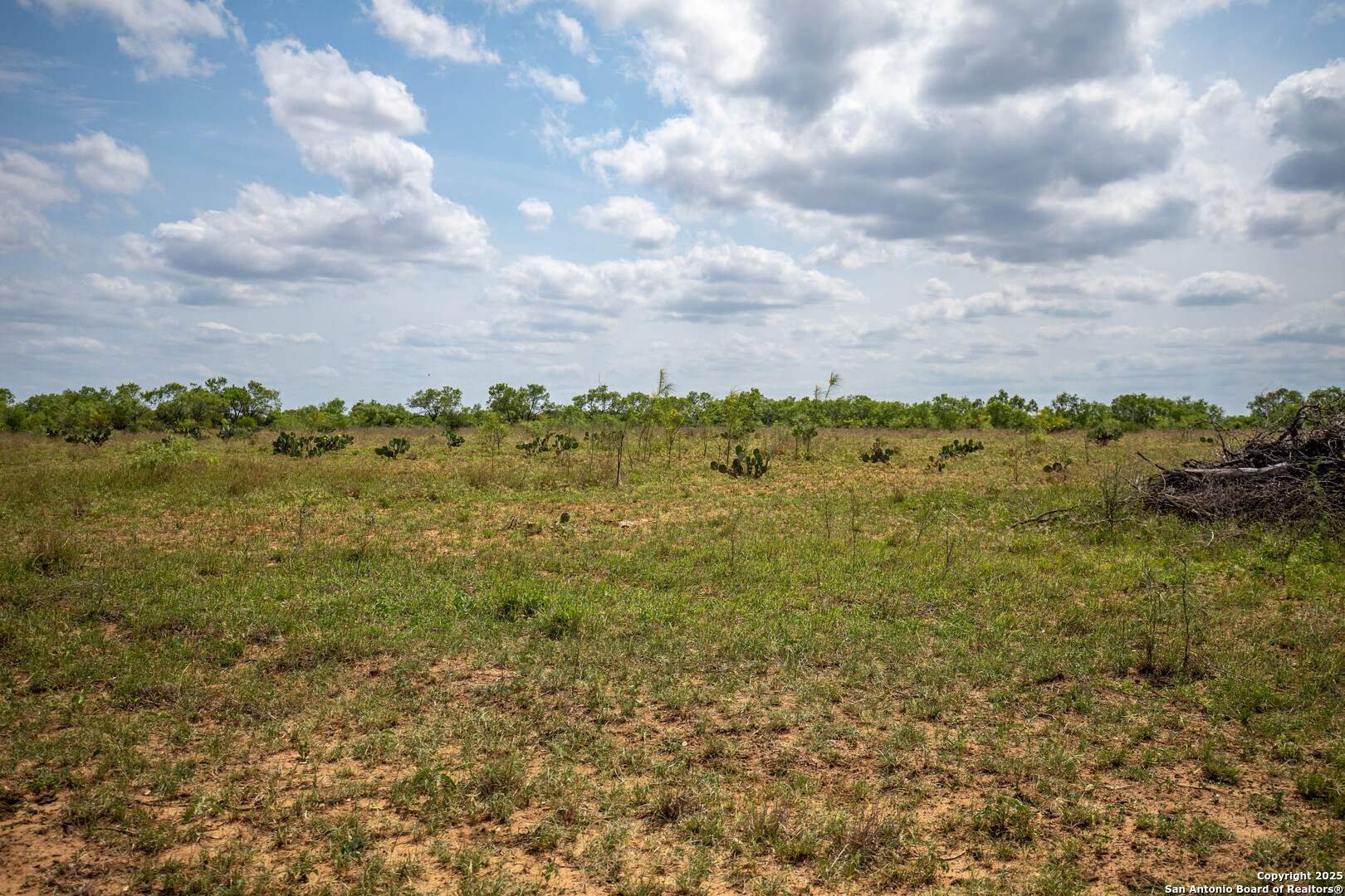 500 PR Goose Creek Ln, Jourdanton, TX 78026