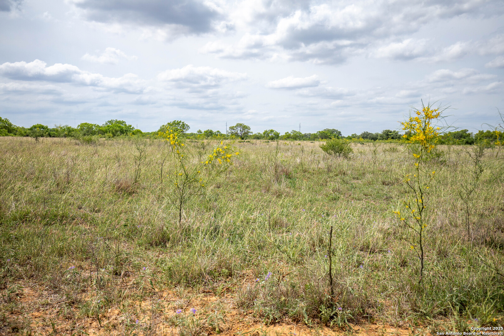 500 PR Goose Creek Ln, Jourdanton, TX 78026