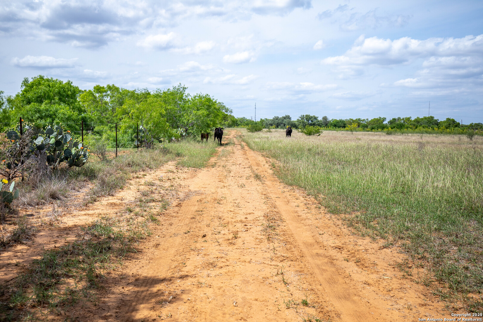 500 PR Goose Creek Ln, Jourdanton, TX 78026