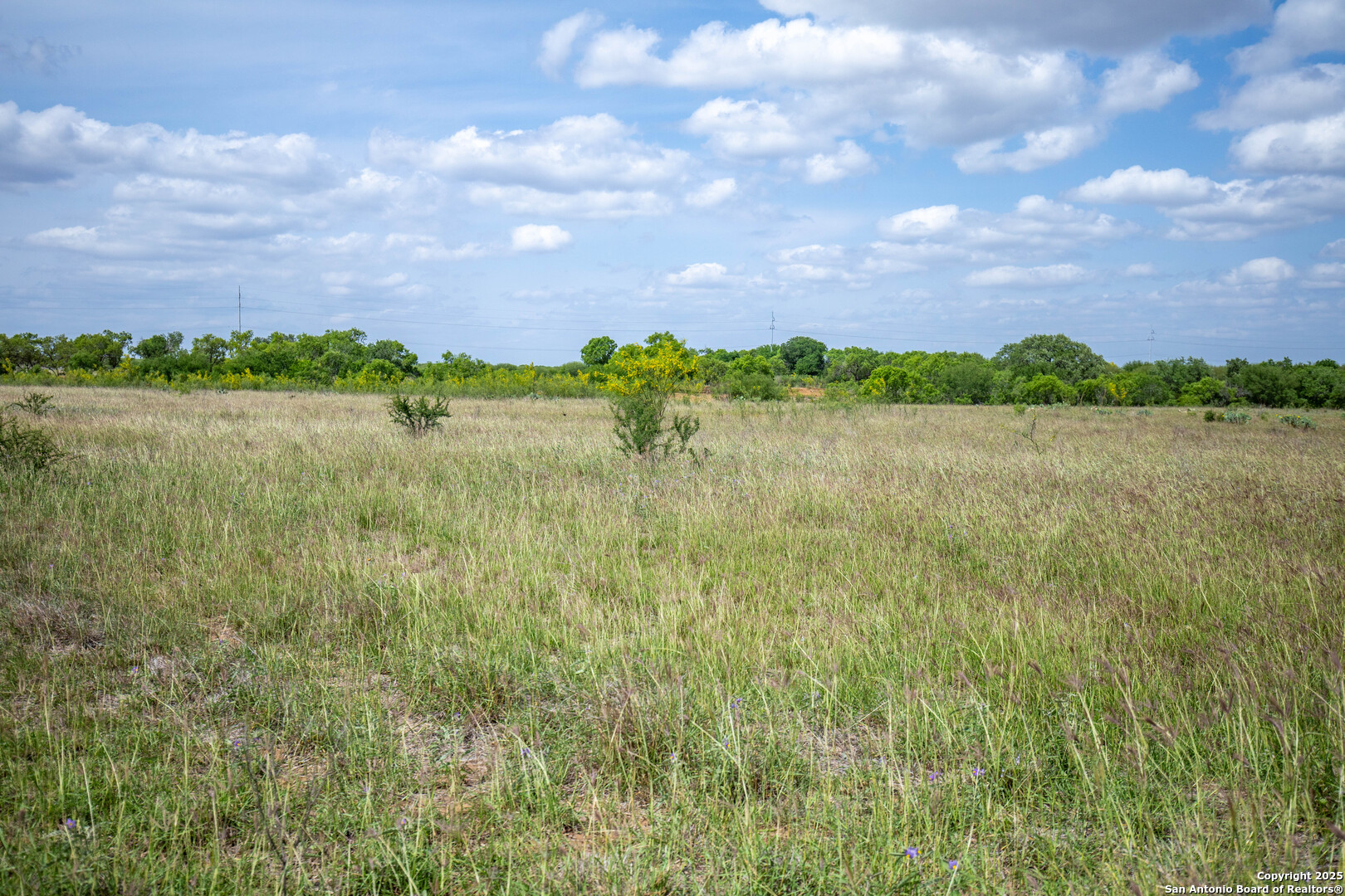 500 PR Goose Creek Ln, Jourdanton, TX 78026