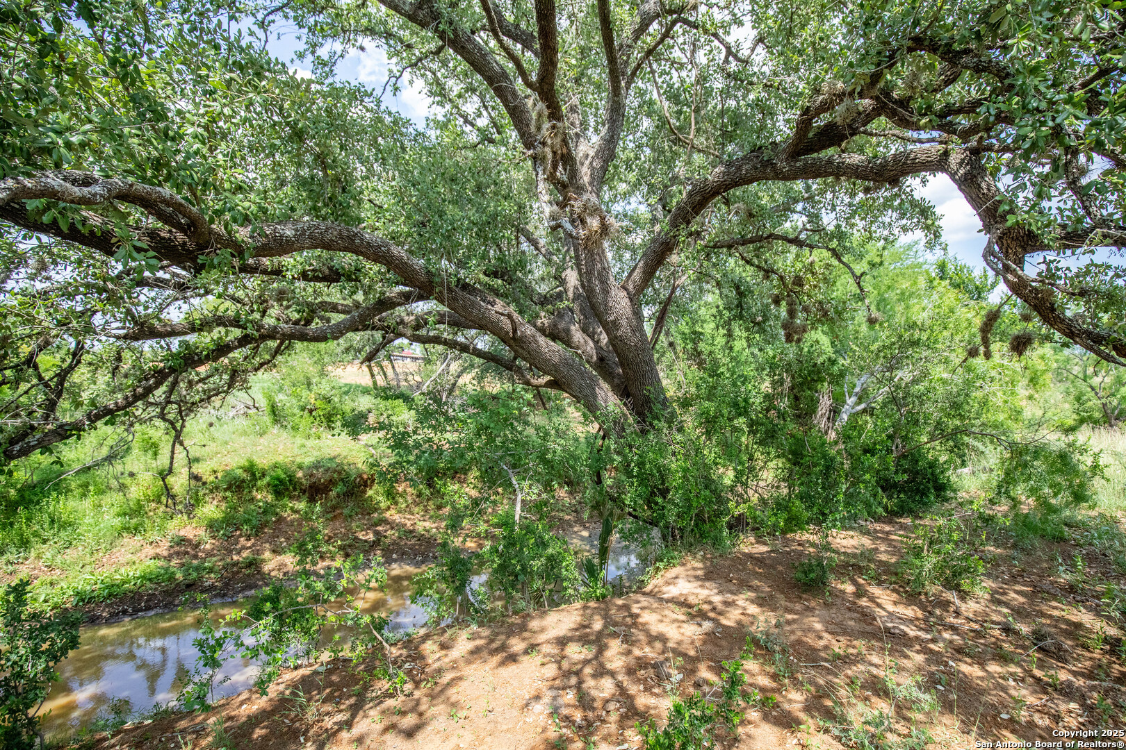 500 PR Goose Creek Ln, Jourdanton, TX 78026