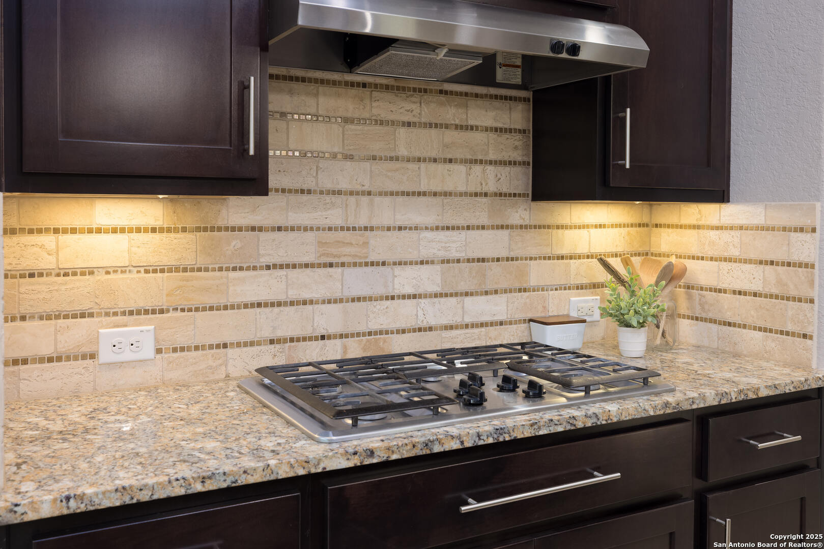 Gas Stove