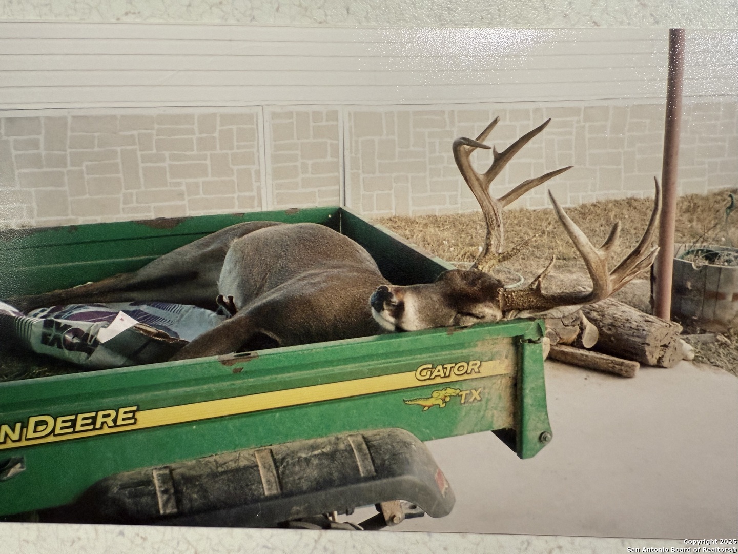 Deer killed on property