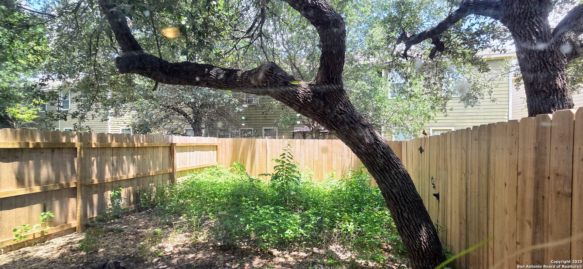 7814 Kingsbury Wood, #2, San Antonio, TX 78240