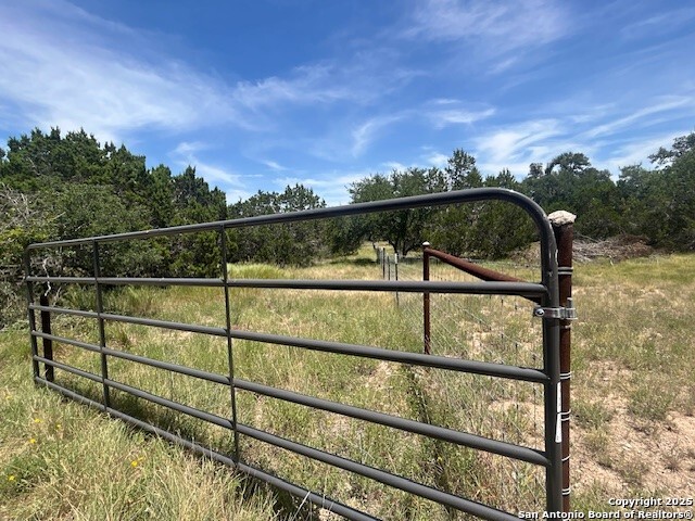 Open the gates and let the cows in.  Ag in place.