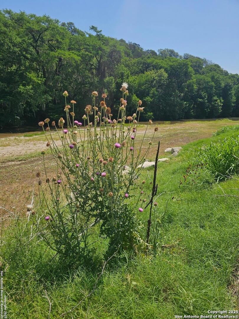 Guadalupe river access just for residents