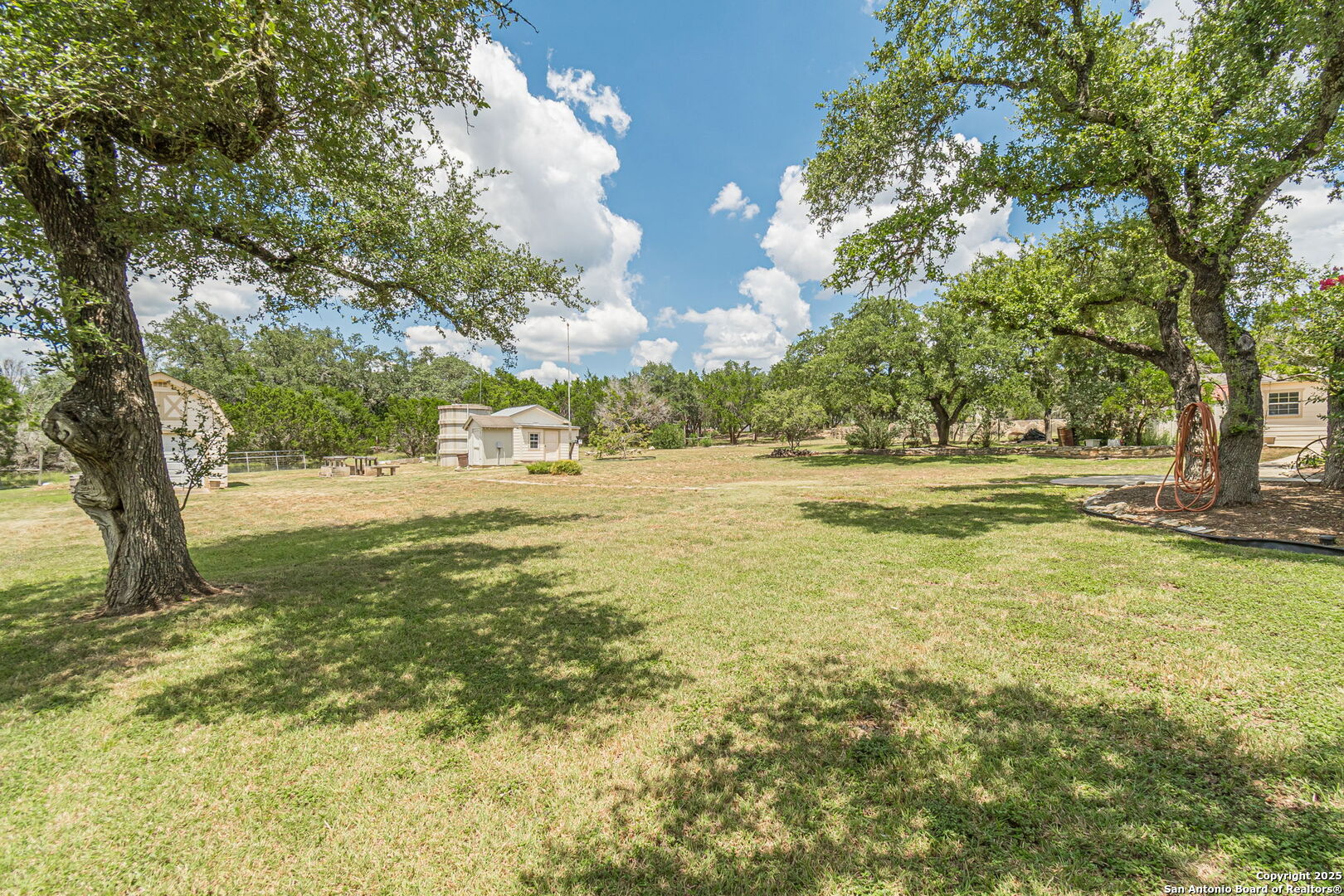 Back yard view