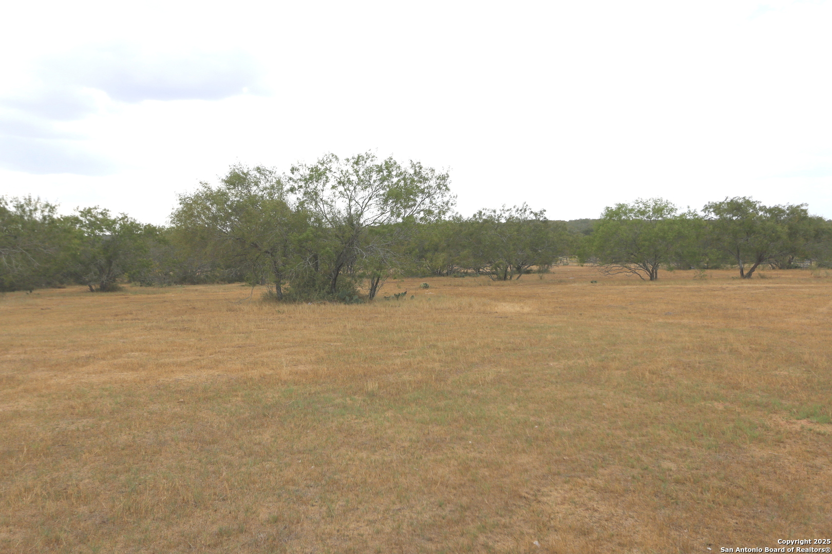 2.26 ACRES (TRACT 2A) FM 3335, Stockdale, TX 78160