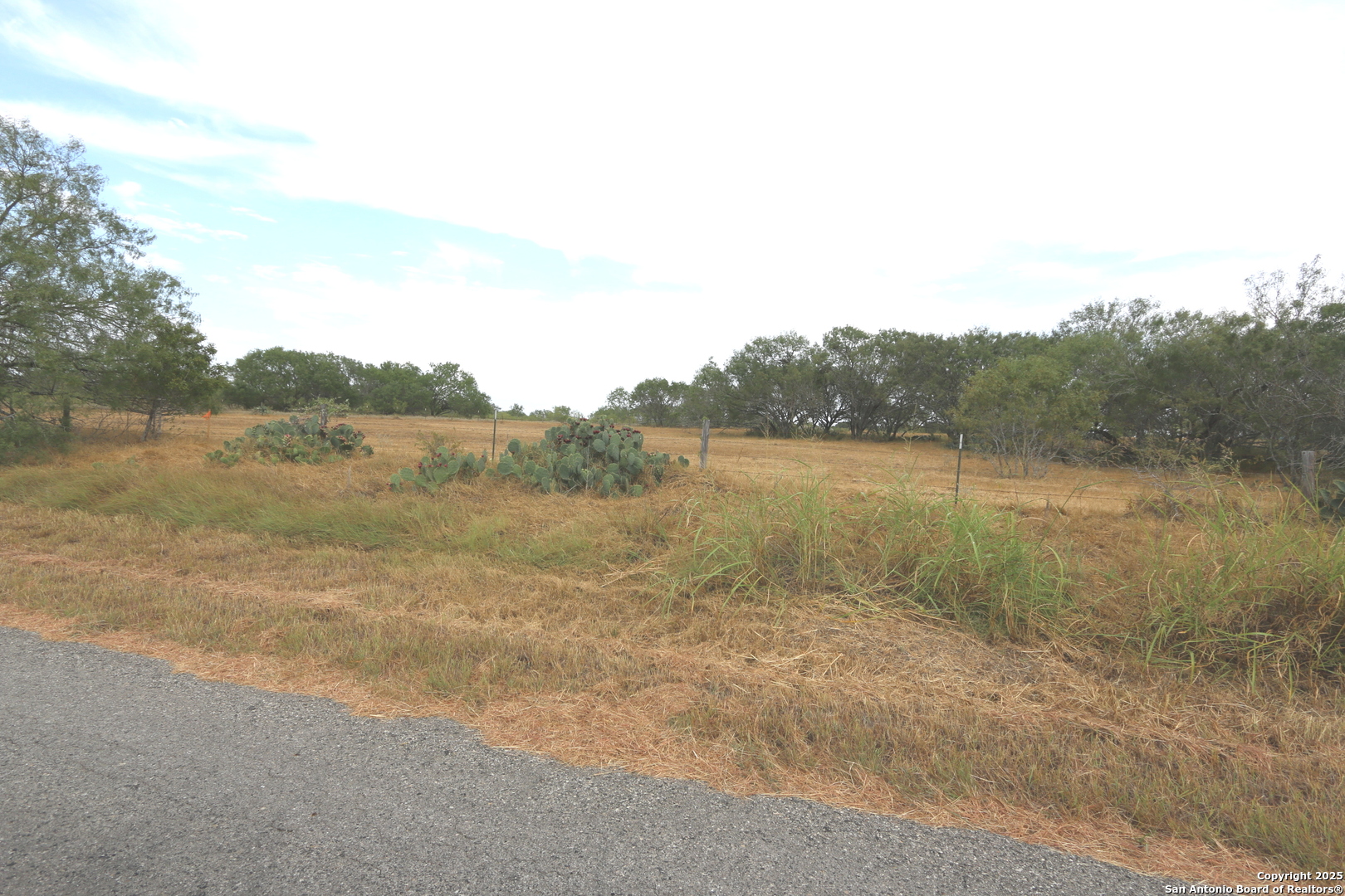 2.26 ACRES (TRACT 2A) FM 3335, Stockdale, TX 78160