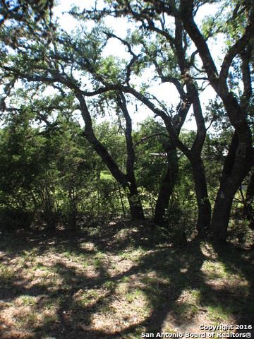 526 TAMARACK DR, Canyon Lake, TX 78133