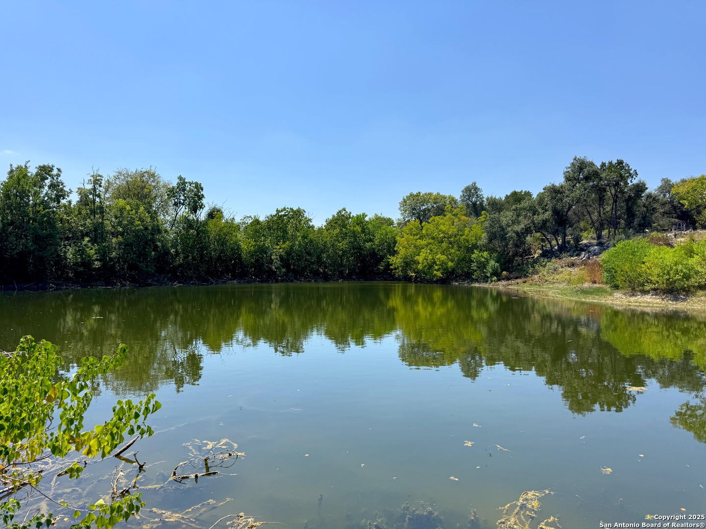 Pond behind the home