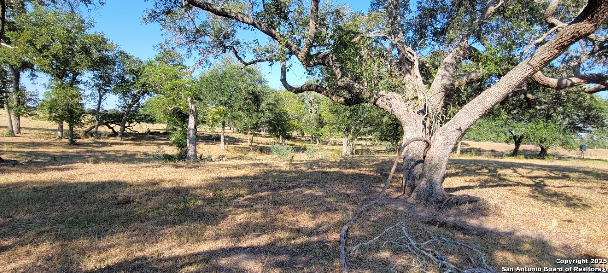 Homes for sale in Hallettsville, TX | 1167 County Road 380, Hallettsville, TX 77964 | MLS# 1910062