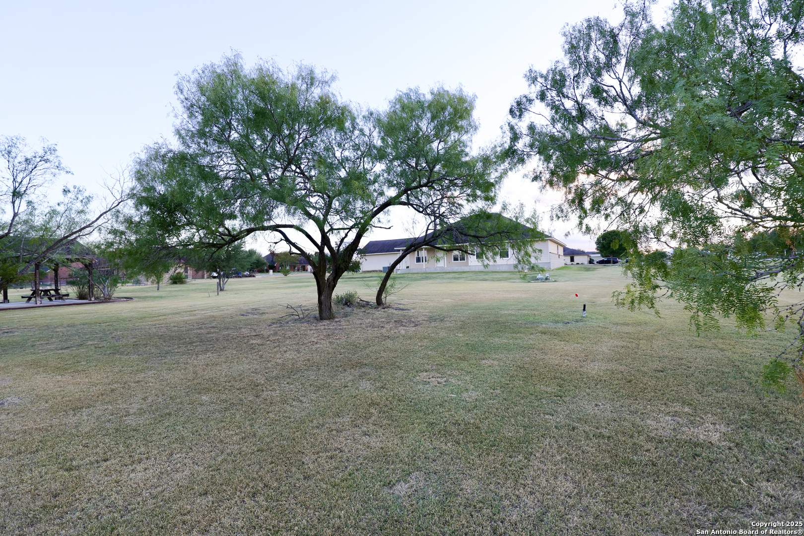 Mature Trees/View from rear of property