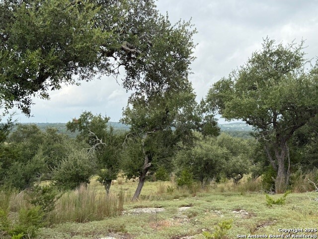 Lots of places to build another house, barn etc.