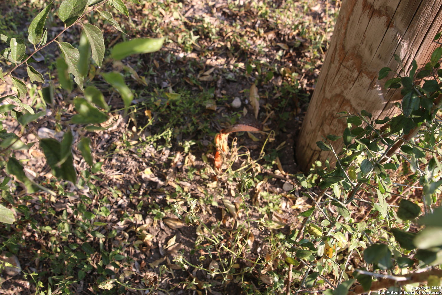 Homes for sale in La Coste, TX | 15827 Brewster, La Coste, TX 78039 | MLS# 1912719