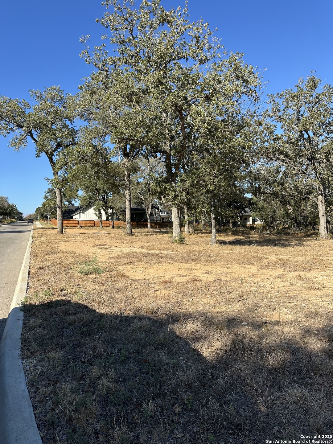 132 CHINABERRY HL, La Vernia, TX 78121