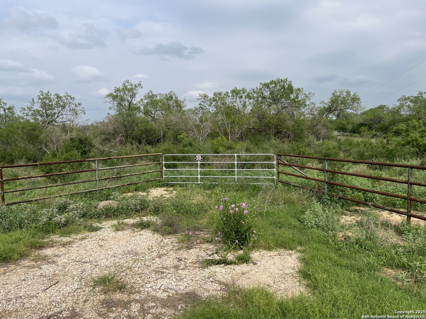 Photo 1 of Land for sale at 16367 Fm 472, Bigfoot, TX 78005 | MLS# 2017340 | Listing updated on 2026-09-17