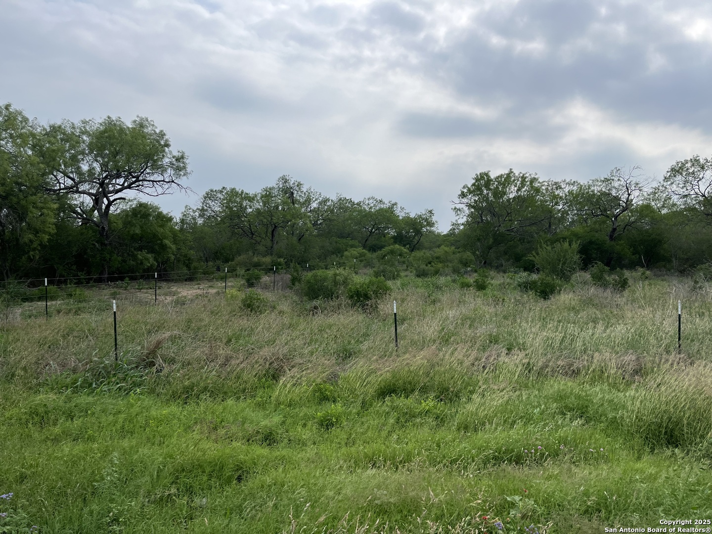 Photo 3 of Land for sale at 16367 Fm 472, Bigfoot, TX 78005 | MLS# 2017340 | Listing updated on 2026-09-17