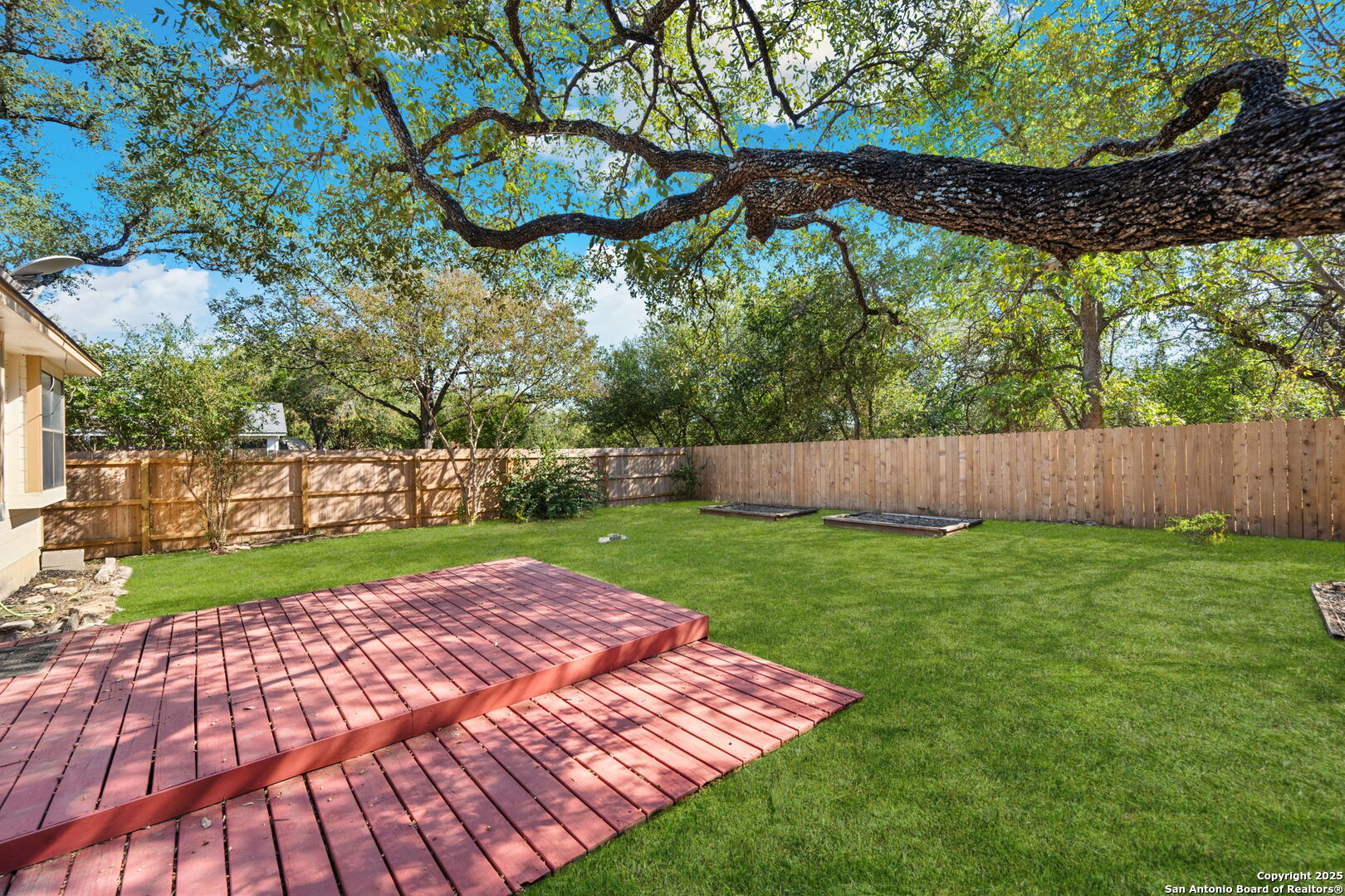 grass in photo enhanced