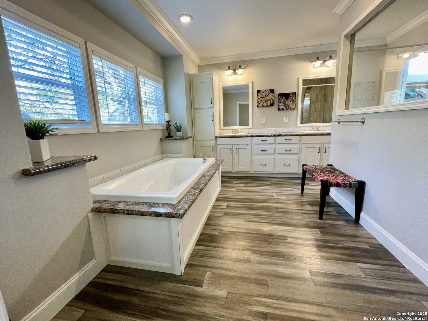 Master bath with garden tub
