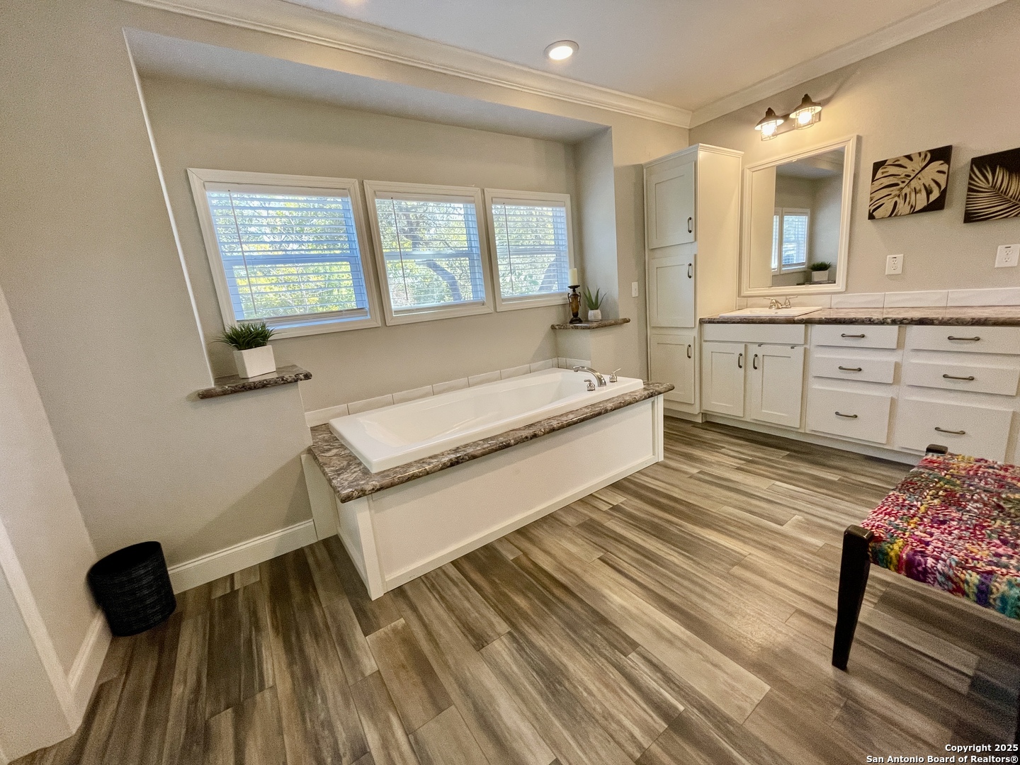 Master bath with garden tub