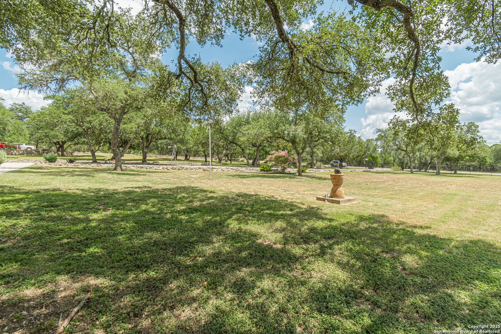 Front Yard view from patio