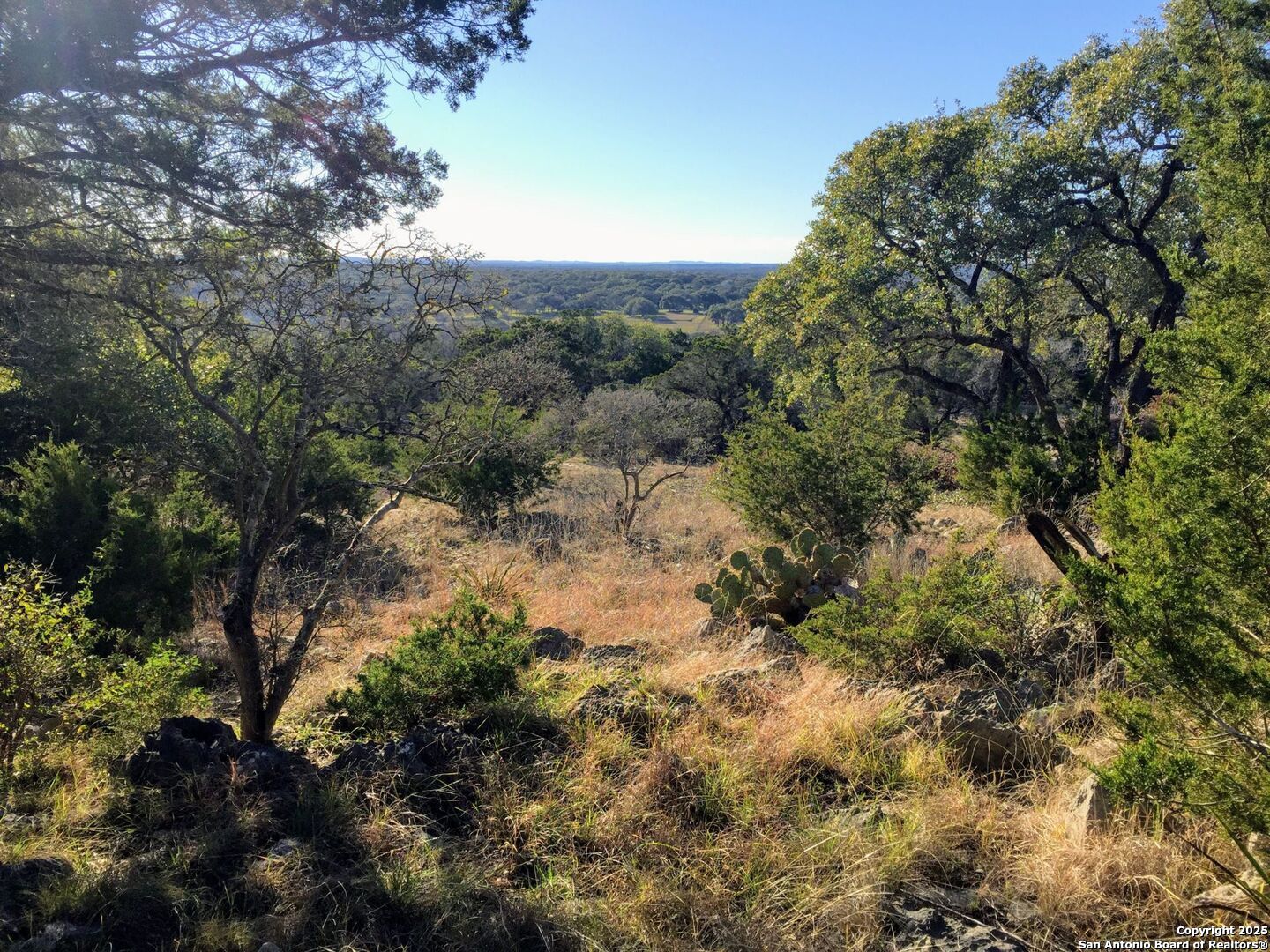 449 Coyote Trail, Spring Branch, TX 78070