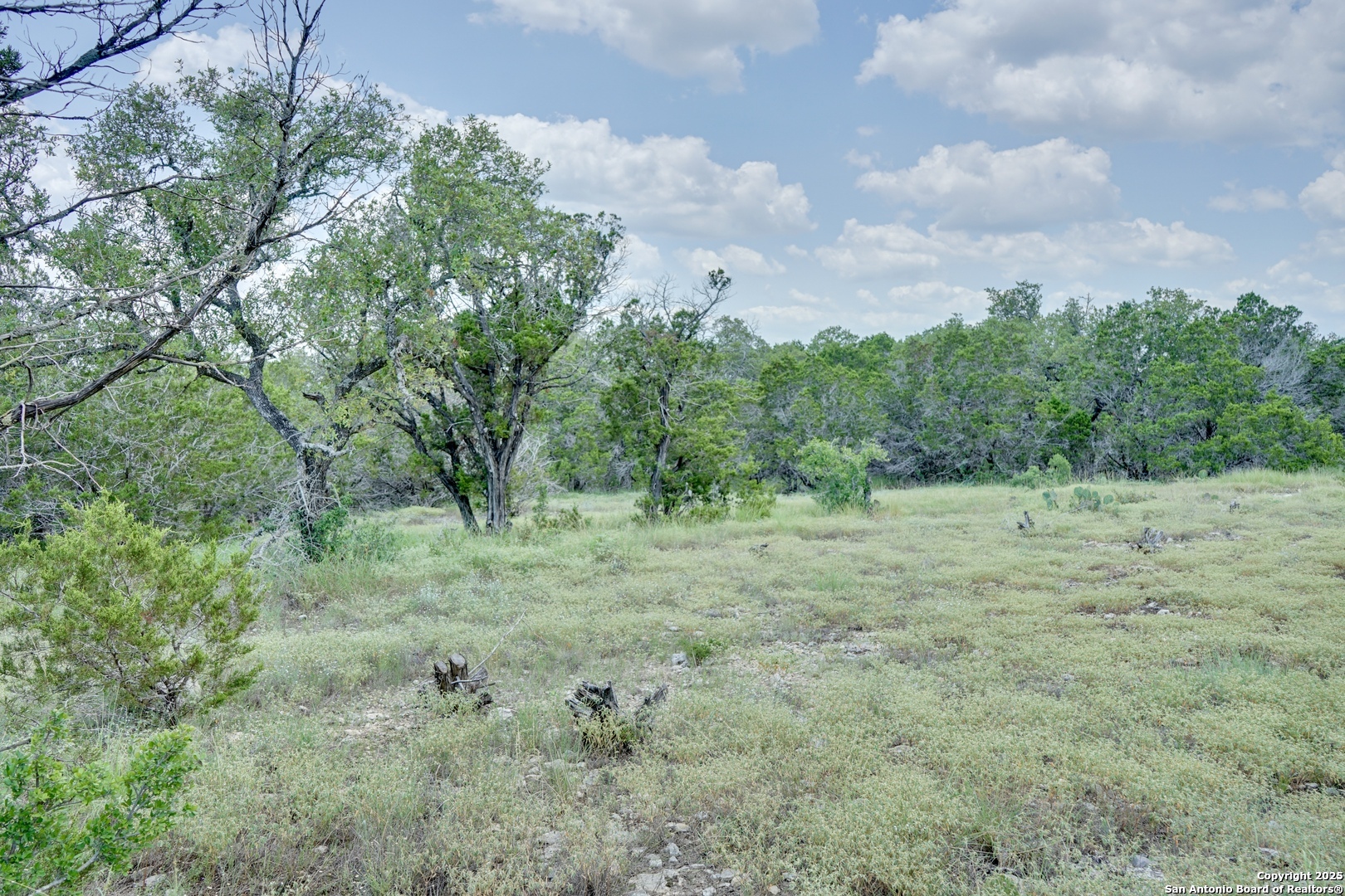 449 Coyote Trail, Spring Branch, TX 78070