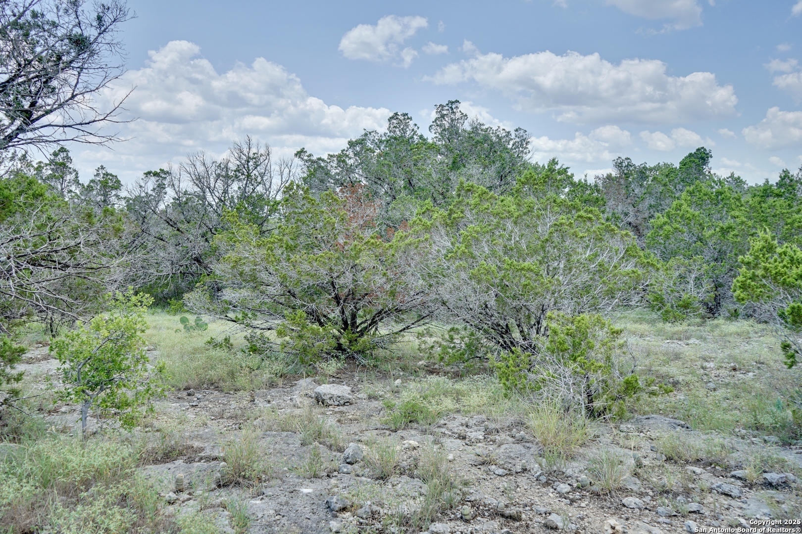 449 Coyote Trail, Spring Branch, TX 78070