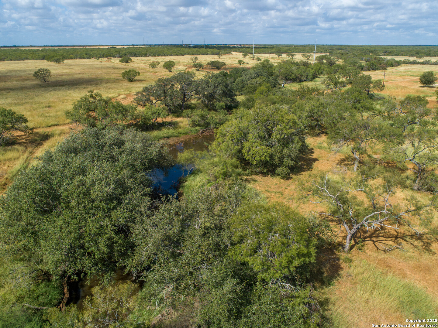 500 PR Goose Creek Ln, Jourdanton, TX 78026