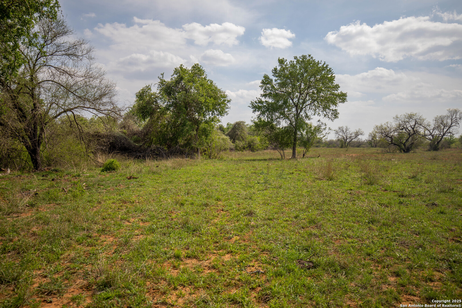 500 PR Goose Creek Ln, Jourdanton, TX 78026