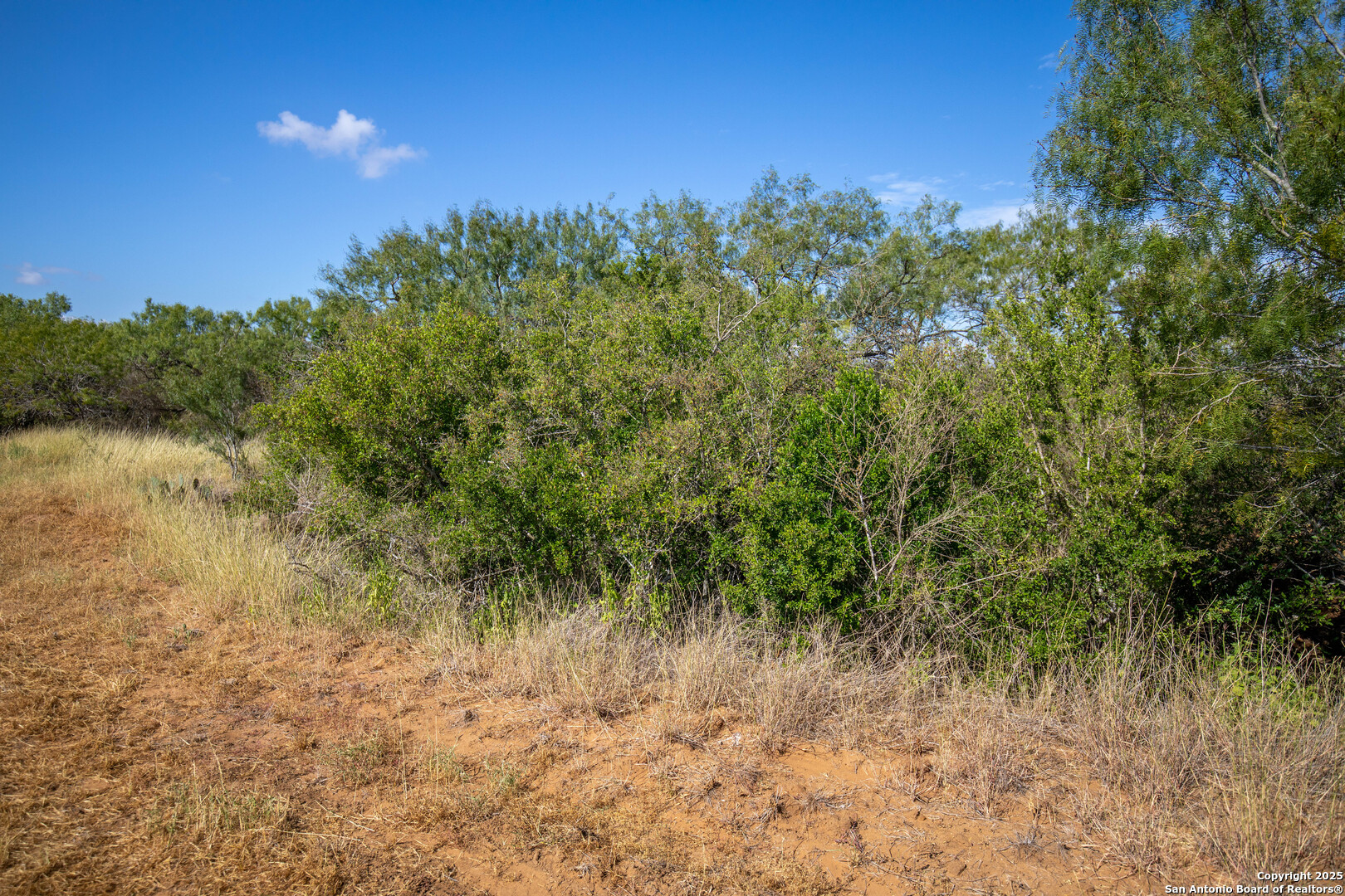500 PR Goose Creek Ln, Jourdanton, TX 78026
