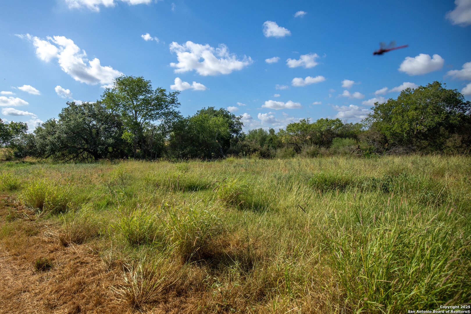 500 PR Goose Creek Ln, Jourdanton, TX 78026