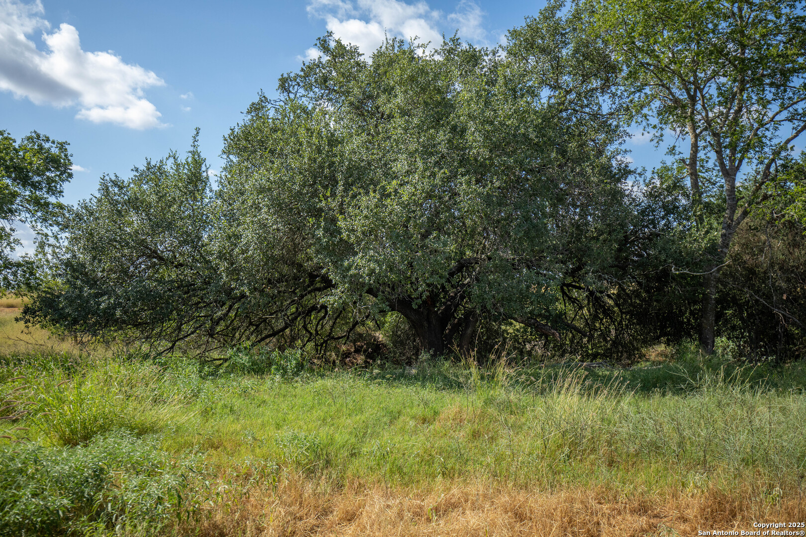 500 PR Goose Creek Ln, Jourdanton, TX 78026