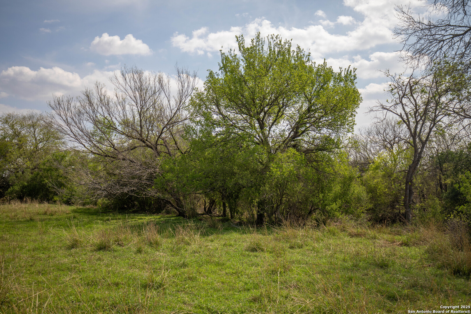 500 PR Goose Creek Ln, Jourdanton, TX 78026
