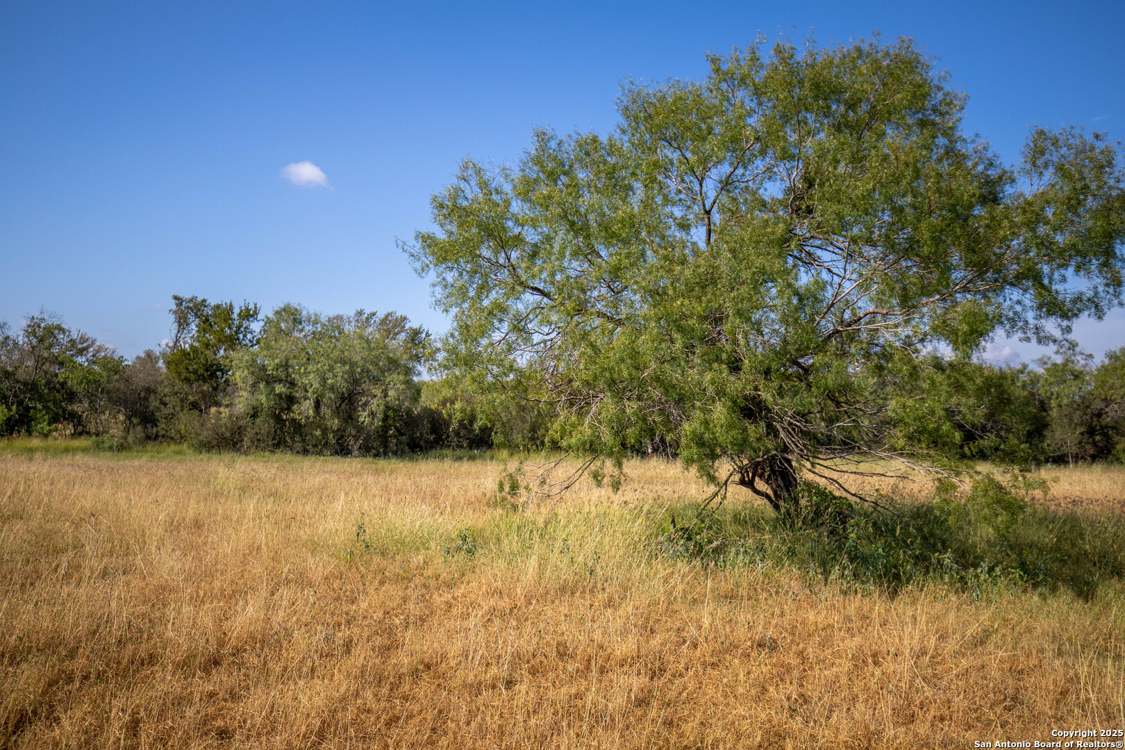 500 PR Goose Creek Ln, Jourdanton, TX 78026