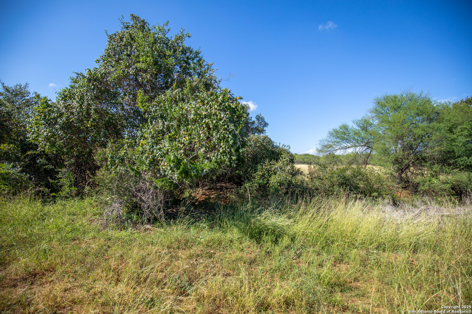500 PR Goose Creek Ln, Jourdanton, TX 78026