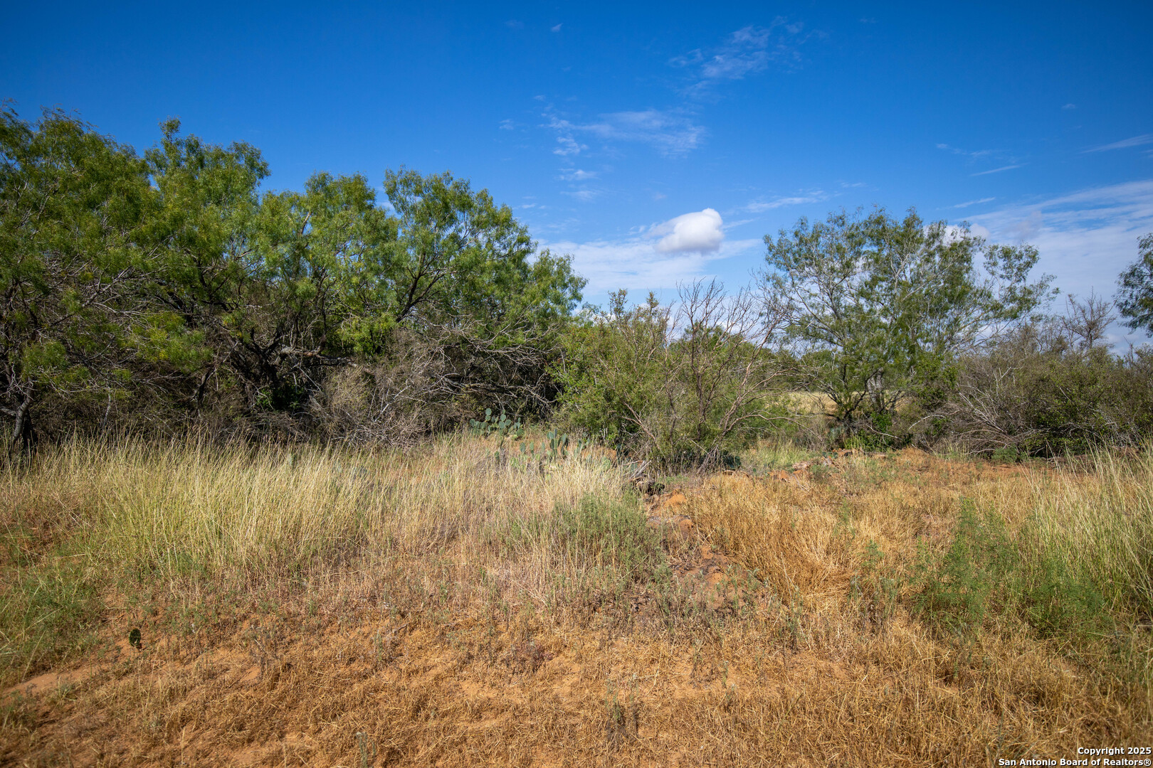 500 PR Goose Creek Ln, Jourdanton, TX 78026