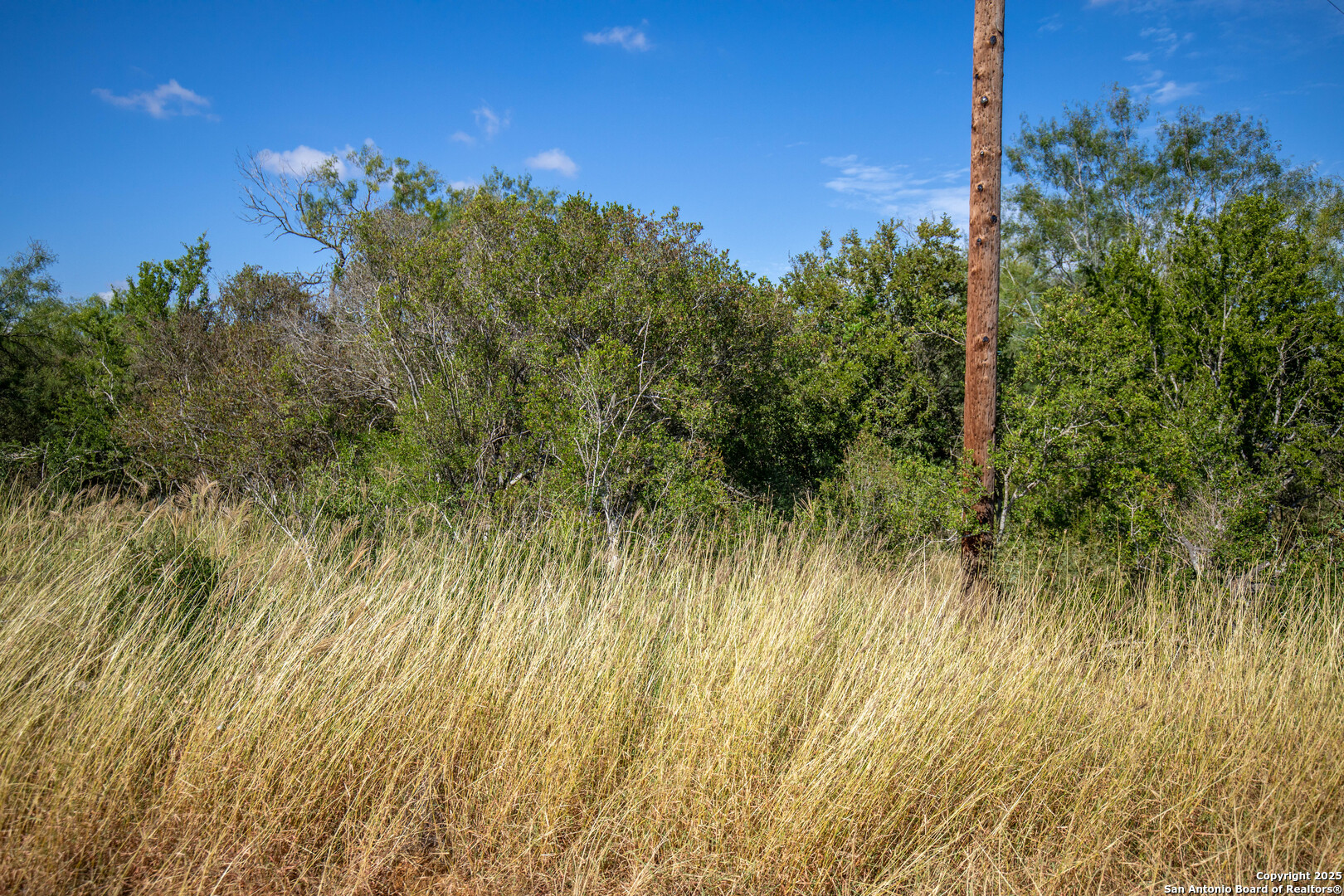 500 PR Goose Creek Ln, Jourdanton, TX 78026