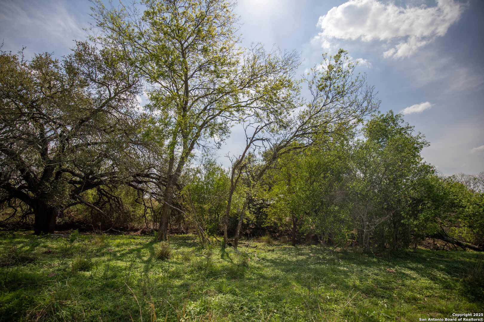 500 PR Goose Creek Ln, Jourdanton, TX 78026