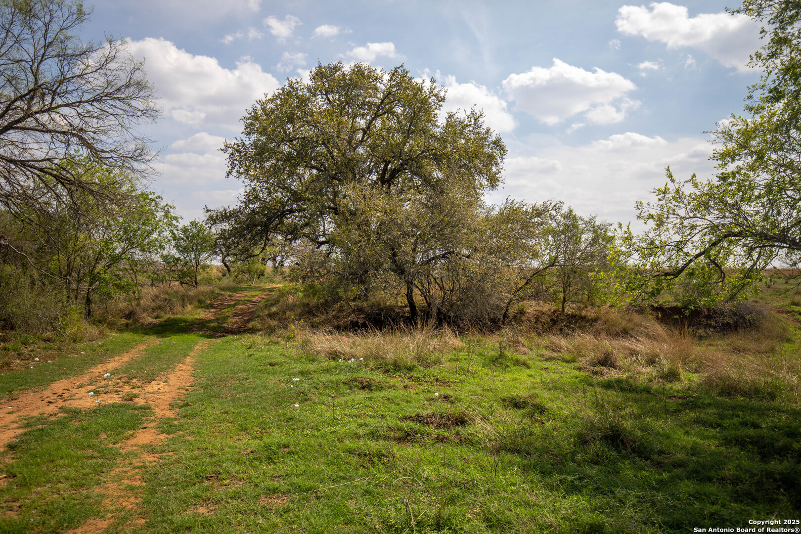 500 PR Goose Creek Ln, Jourdanton, TX 78026