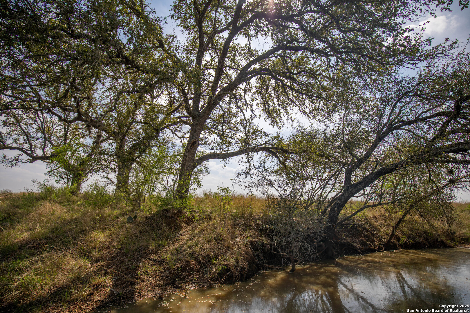 546 PR Goose Creek Ln, Jourdanton, TX 78026