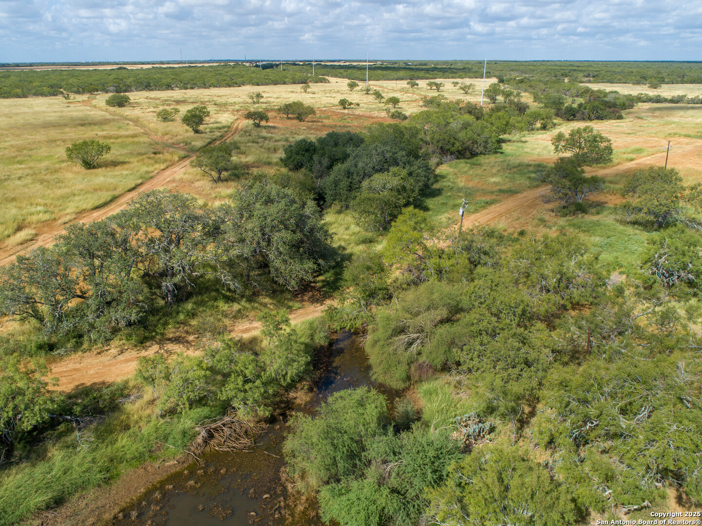 546 PR Goose Creek Ln, Jourdanton, TX 78026