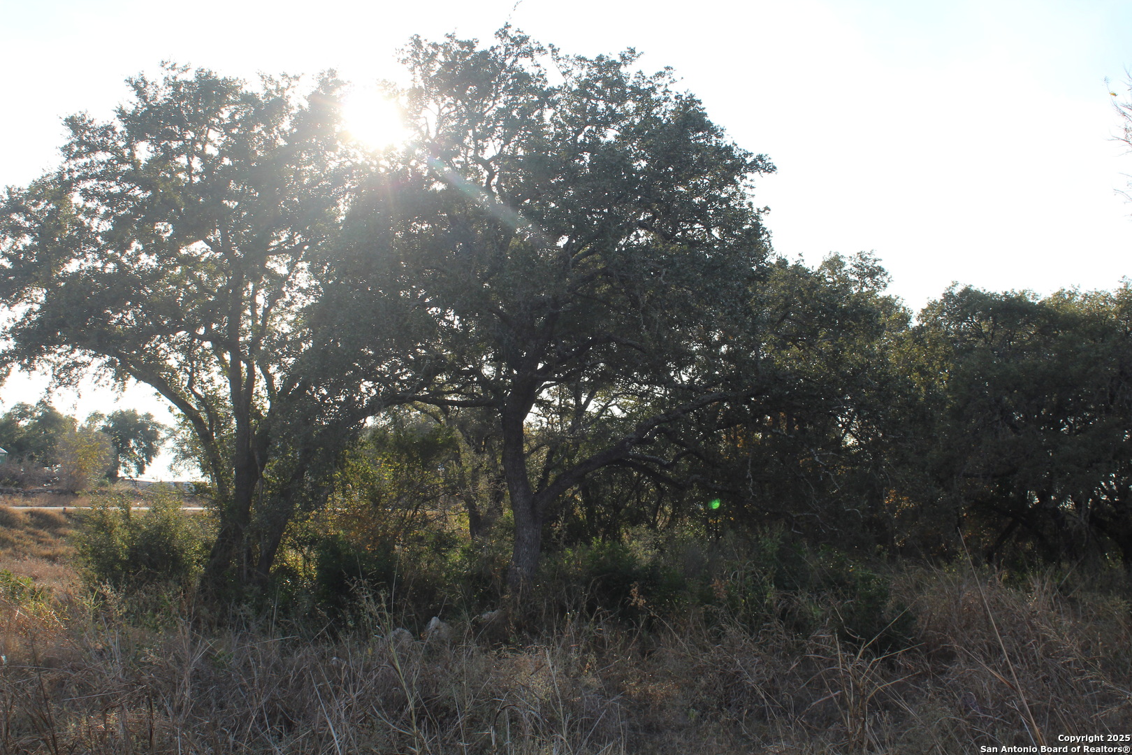 Homes for sale in San Antonio, TX | 576 Private Road 3702, San Antonio, TX 78253 | MLS# 1860897