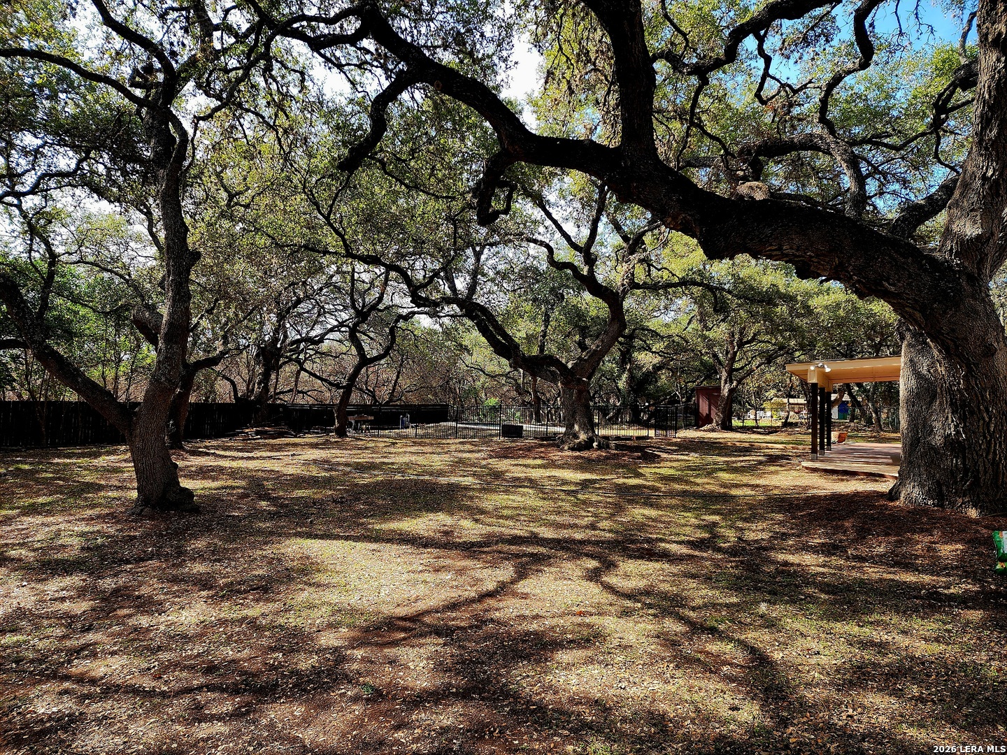 Exterior Back