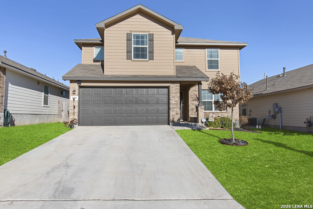 955 Brown Thrasher Listing Cover Image