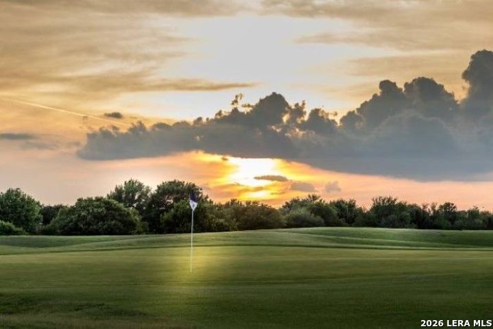 13234 Hanging Willow